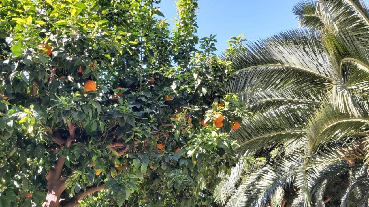 Apartament Del Parque Flats Urban Life Malaga Zewnętrze zdjęcie
